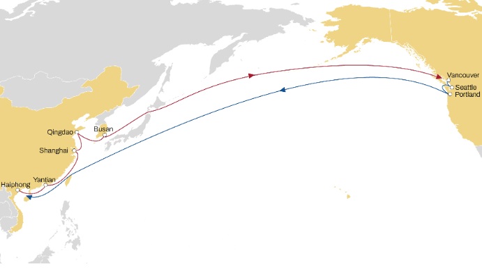 MSC Chinook Service: New Haiphong Route&nbsp;Benefits